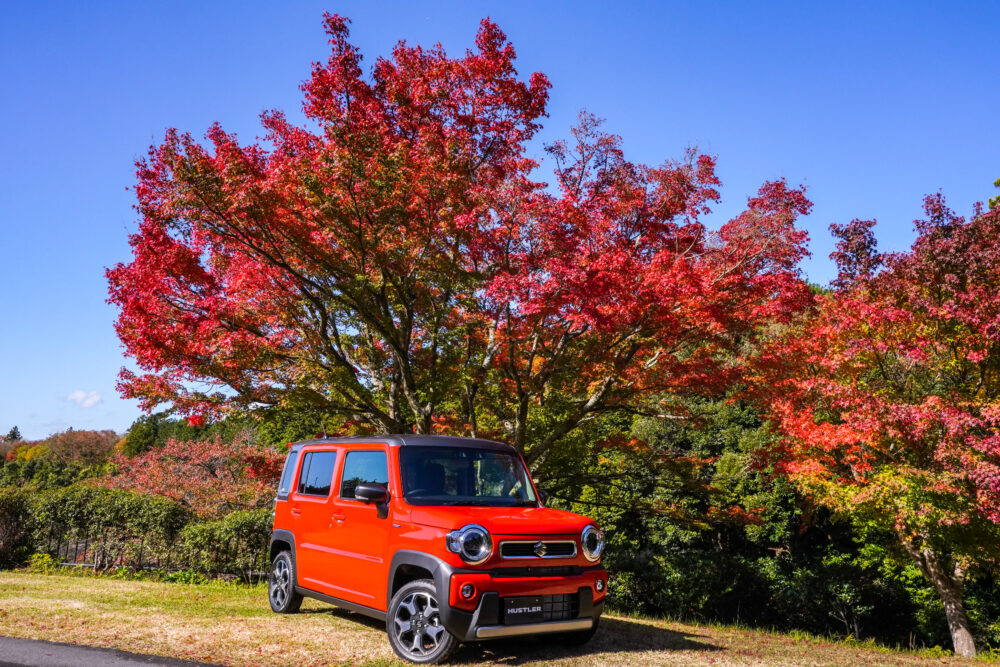スズキ新型ハスラー(2代目)紅葉を背景に撮影