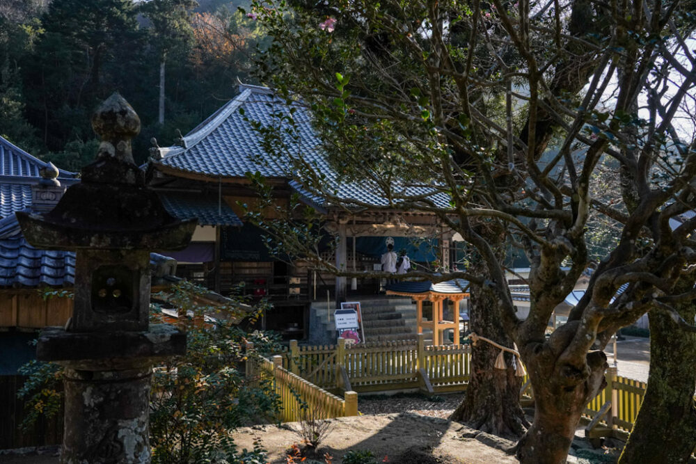 お遍路 第5番札所 大日寺の木に半分隠れた本堂