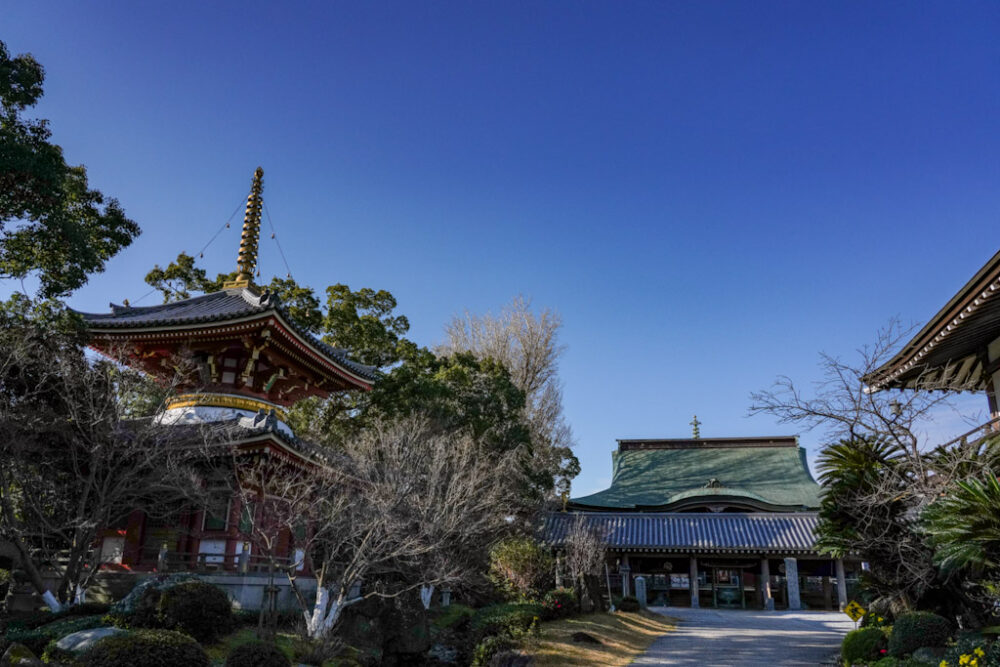 お遍路 第6番札所 安楽寺 境内
