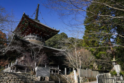 熊谷寺-第8番礼所【車お遍路案内】四国88ヶ所霊場巡り