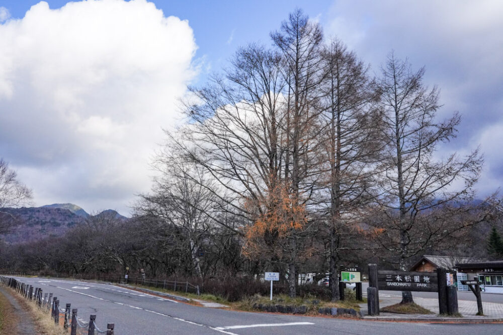 戦場ヶ原「三本松緑地」