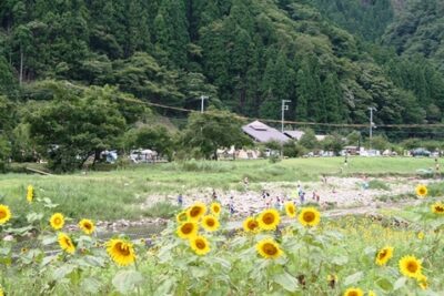 【南光自然観察村 総合情報】ツリーハウスやフィンランド式サウナを満喫!口コミも紹介