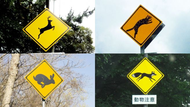 見たことある 意外な動物が登場するご当地 動物注意 標識27選