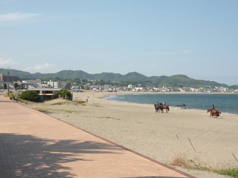 京急 三浦海岸駅 海水浴場周辺駐車場 安い順 おすすめ10ヶ所 Moby モビー