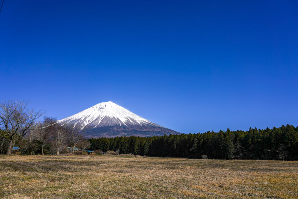 牧場と富士山