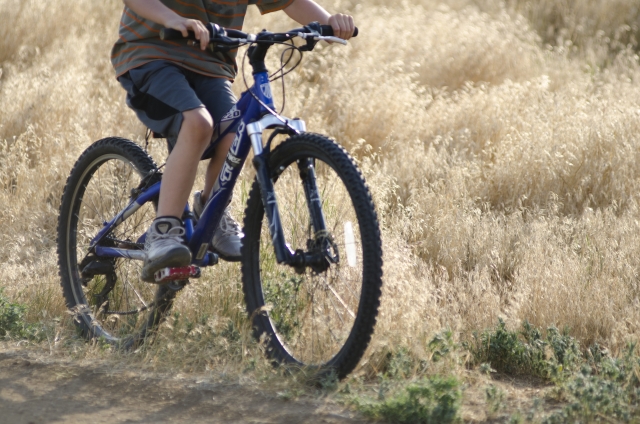 自転車 何 キロ