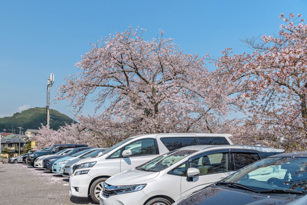京都四条河原町周辺で安い お得 おすすめ駐車場16ヶ所 駐車サービスも Moby モビー