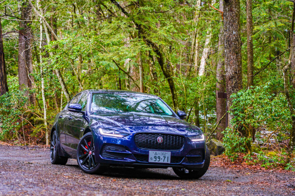 ジャガー XE 2020年モデル
森の中で撮影
