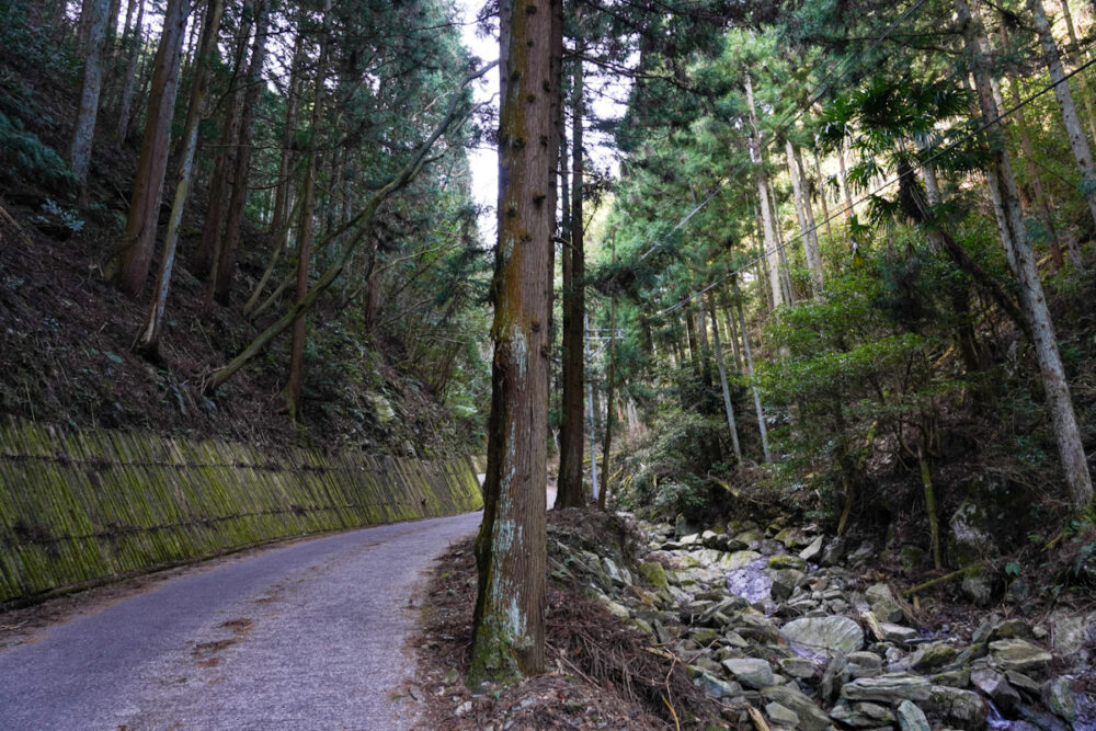 横峰寺へ通じる山道