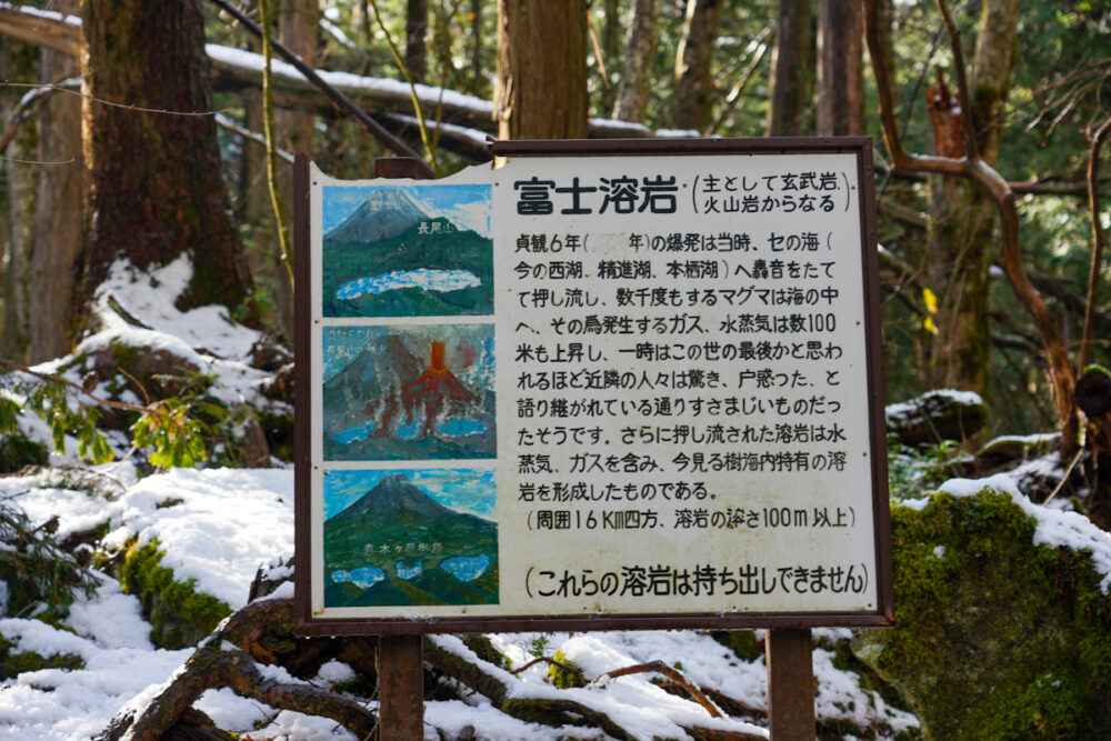 富士溶岩の解説看板