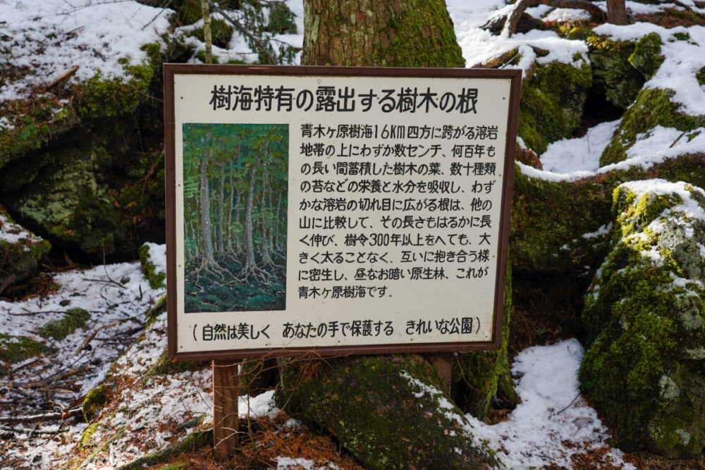 富岳風穴の入り口にある解説看板。