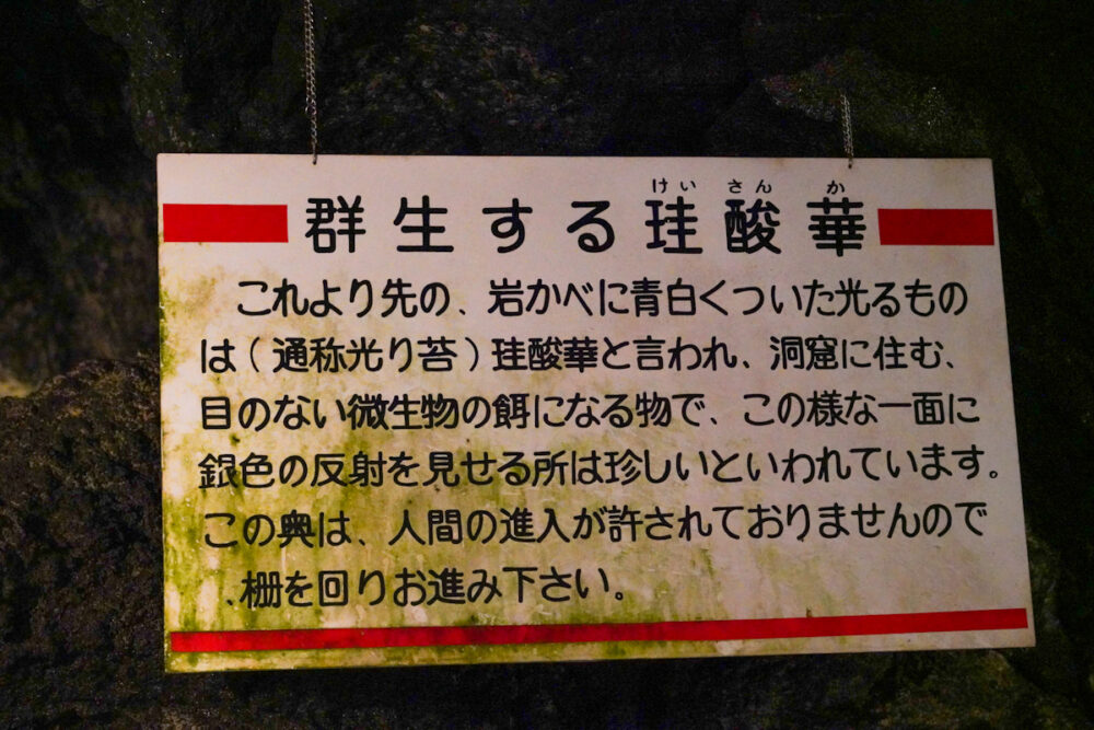 富岳風穴の「群生する珪酸華」の解説看板