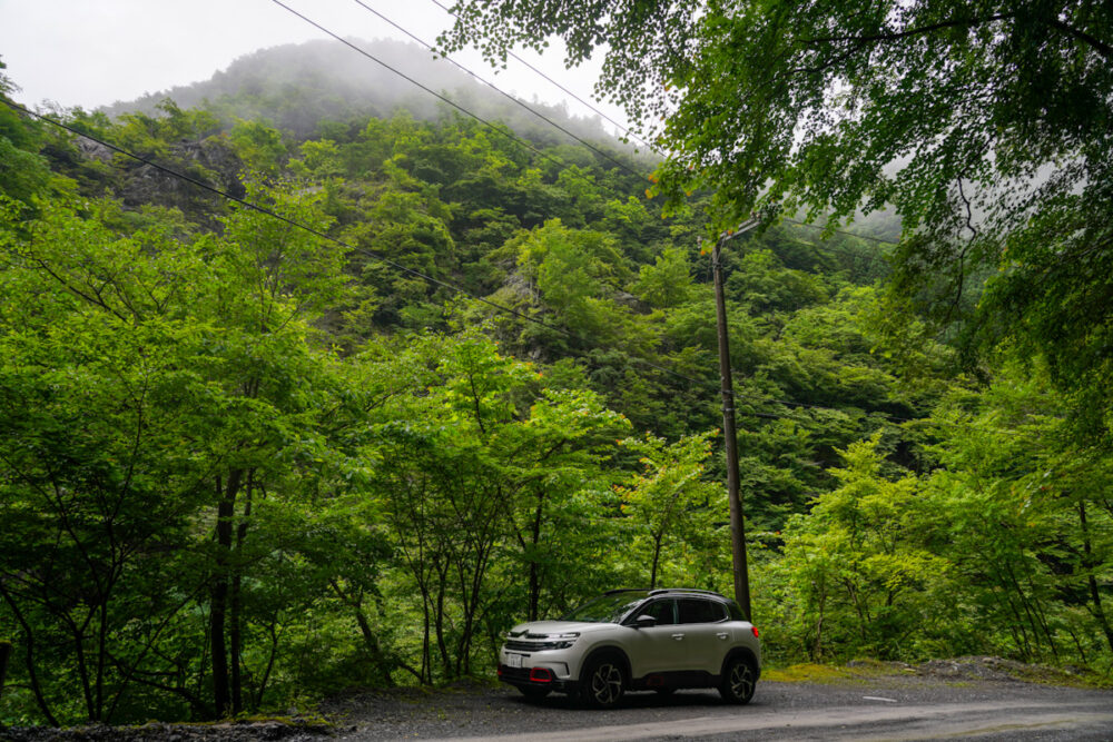 山の中のシトロエン C5エアクロスSUV