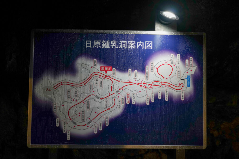 日原鍾乳洞案内図