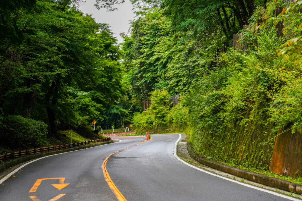 奥多摩周遊道路
