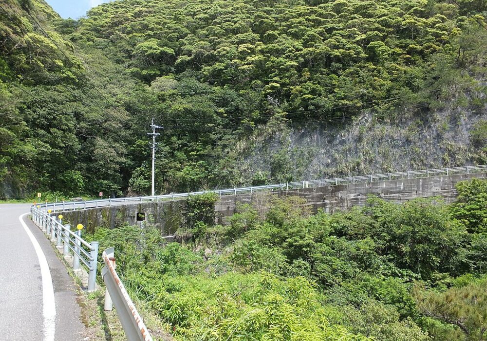 網野子峠