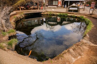 【忍野八海】富士山世界文化遺産ドライブガイド “忍野そばと不思議な霊場”