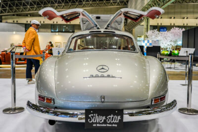 ガルウィングドア・シザードア・バタフライドアの車11選