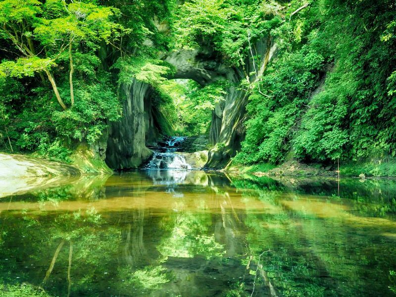緑が美しい風景