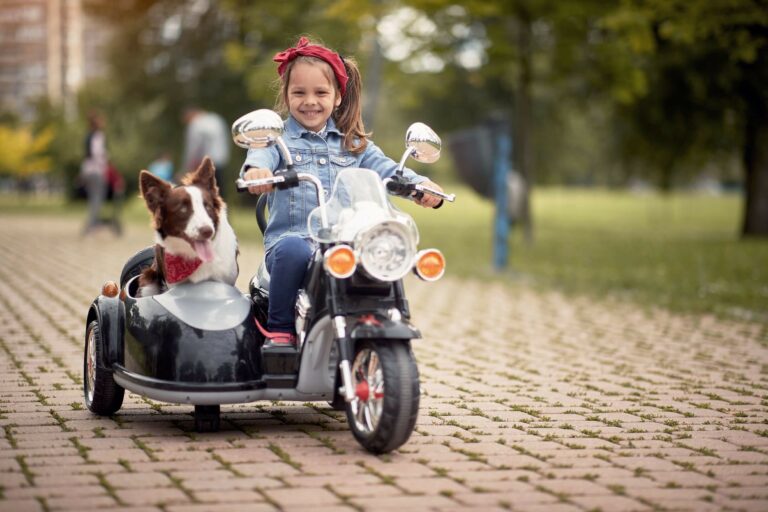 サイドカーの運転に必要な免許とは 犬を乗せても法律的に大丈夫 税金や車検 任意保険も Moby モビー