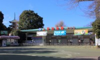上野動物園の入場料金 割引クーポンまとめ&おすすめ駐車場3選