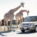 日産キューブおすすめグレードは15X V Selectionか15X!違いを比較