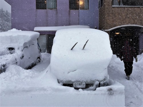 寒冷地 吹雪