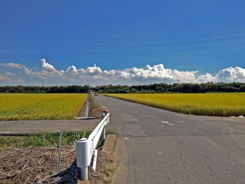 田園の十字路