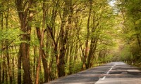 【三重県の道の駅おすすめランキングTOP10】松坂牛から世界遺産を望む温泉まで