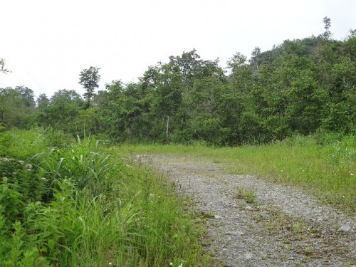 山道