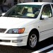【トヨタビスタは不人気な名車】実燃費や内装などの評価について!アルデオは今でも人気?