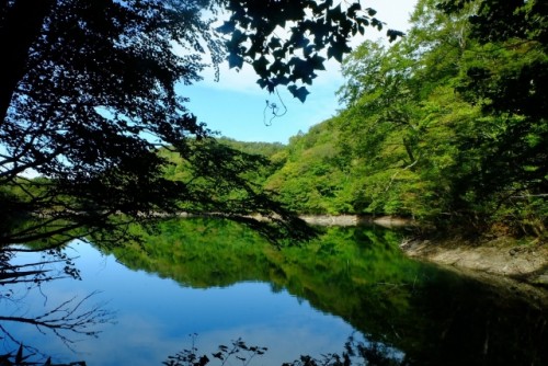 青森 白神山地