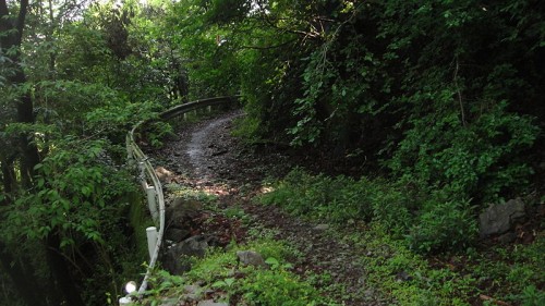 廃道