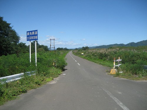 農免道路