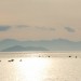 【滋賀県の道の駅おすすめランキングTOP15】温泉情報から近江牛や石窯ピザまで