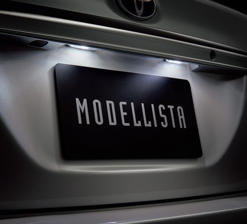 新型 カローラ フィールダー モデリスタ エアロキット LEDライセンスランプ
