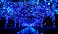 【青の洞窟 イルミネーション 2017】東京以外の場所でも開催!開催期間と時間など