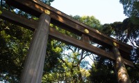 【明治神宮 駐車場】無料・安いおすすめランキングTOP21!土日は混雑?行き方も