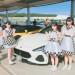 【さきどり発進局出演】趣味車の祭典!ネコ・オートモービル・フェスティバル開催