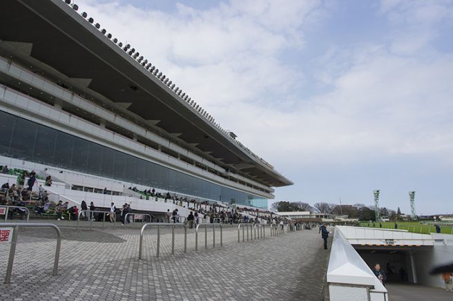 中山競馬場