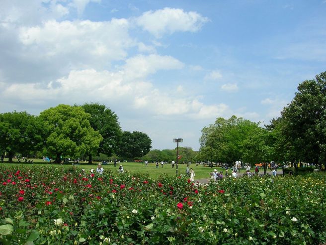 庄内緑地公園