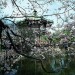 上野公園の周辺駐車場【安い順】おすすめ10ヶ所