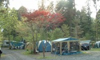 【朝霧高原オートキャンプ場 総合情報】富士山の天然水がおいしい!口コミや評価は?