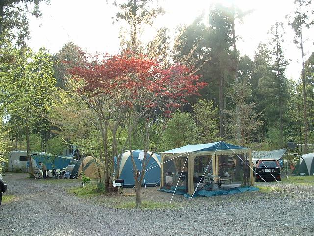 朝霧高原オートキャンプ場 静岡県