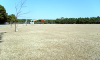 【渚園キャンプ場 総合情報】浜名湖岸の目の前で開放的&コスパがいい!口コミは?