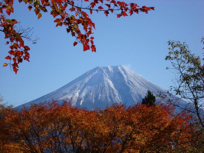 ペンギン村オートキャンプ場富士山画像