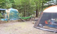 【ペンギン村オートキャンプ場 総合情報】森の中で満点の星空を楽しめる!口コミや評判は?