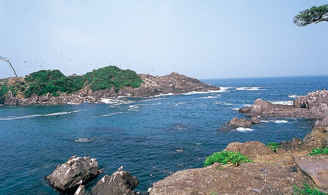 神割崎キャンプ場 景色