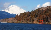箱根神社はパワースポット!おすすめランチ5選も紹介!