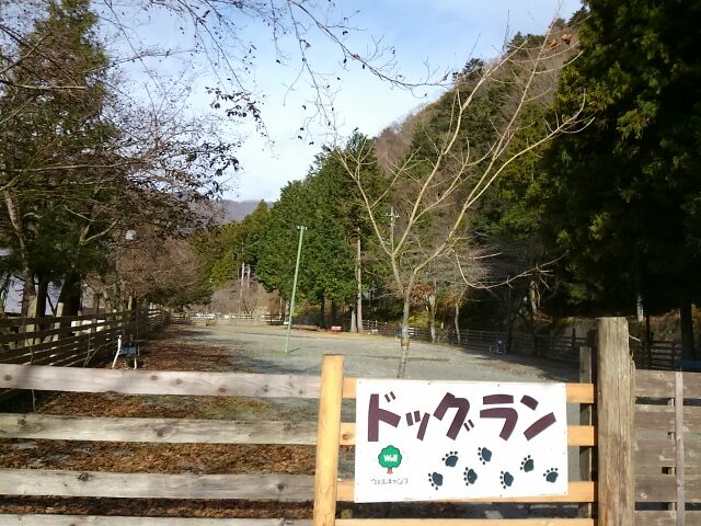 ドッグラン